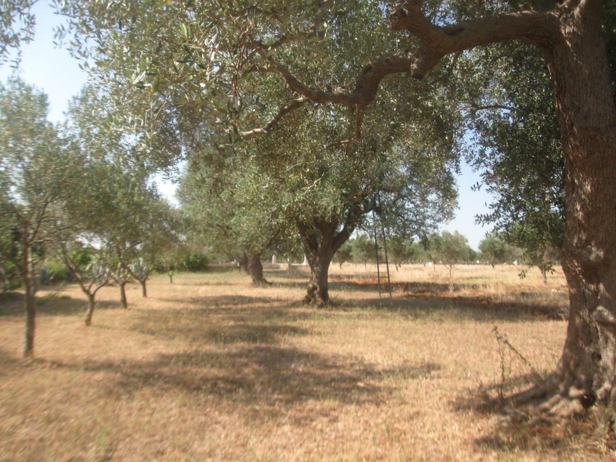 Fenicepugliese San Vito dei Normanni Luaran gambar